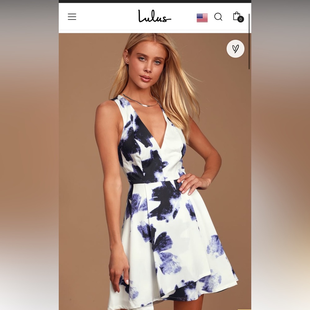 Seeing Chic Blue and Ivory Print Skater Dress